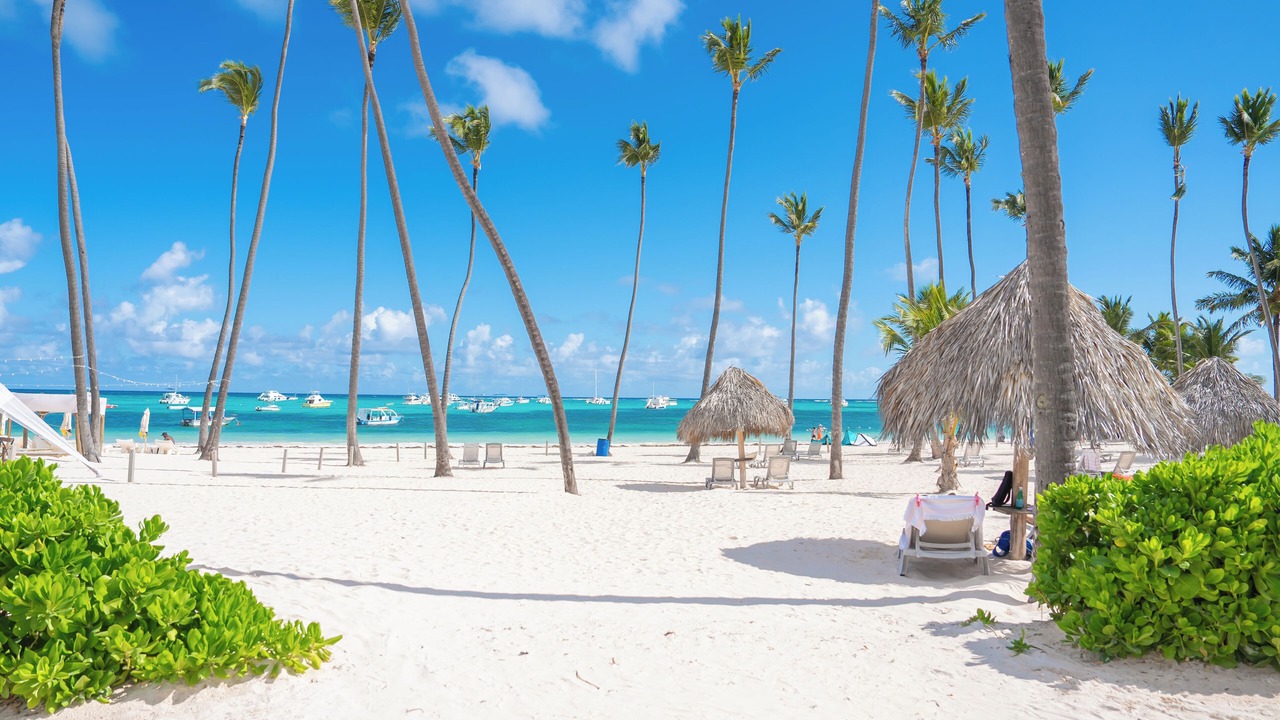 Photo of Others in Bavaro
