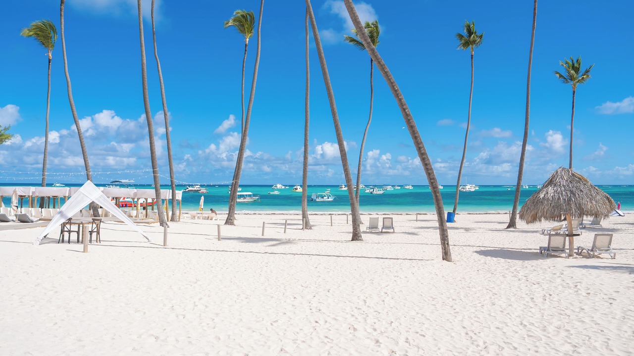 Photo of Others in Bavaro