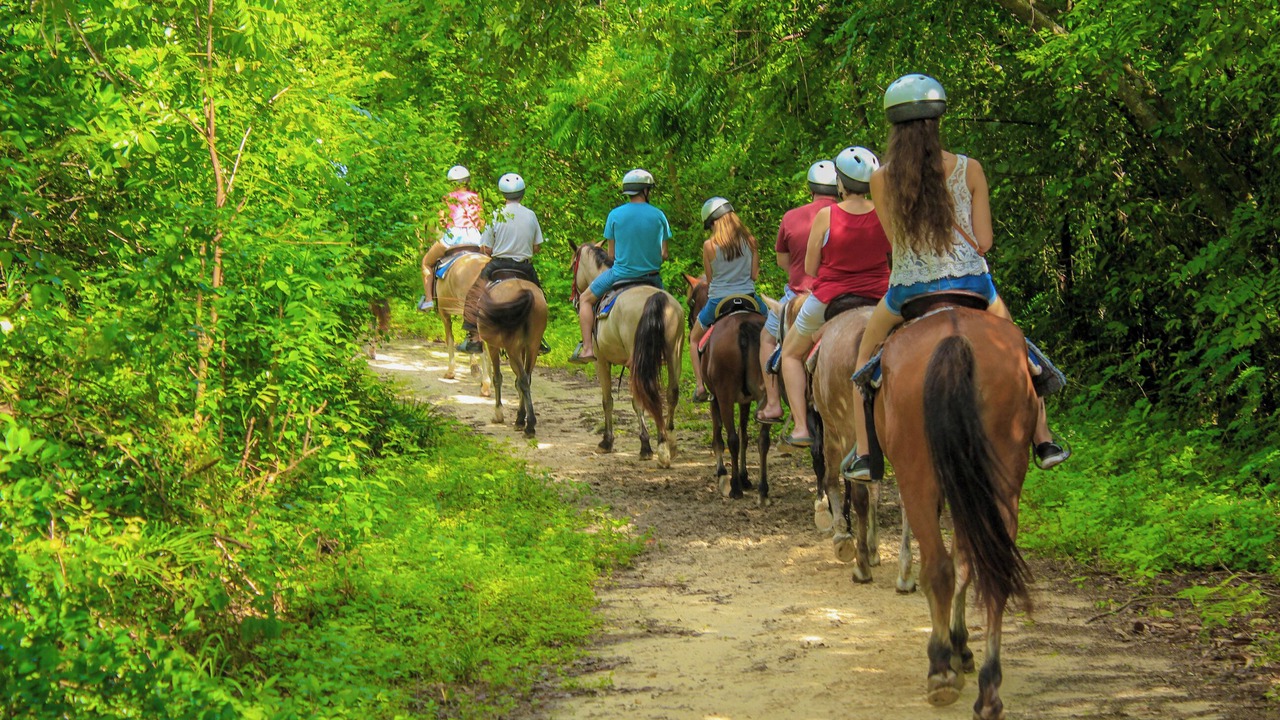Photo of Others in Cap Cana Marina