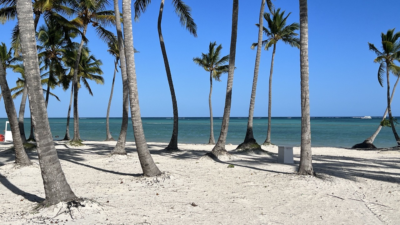 Photo of Others in Punta Cana
