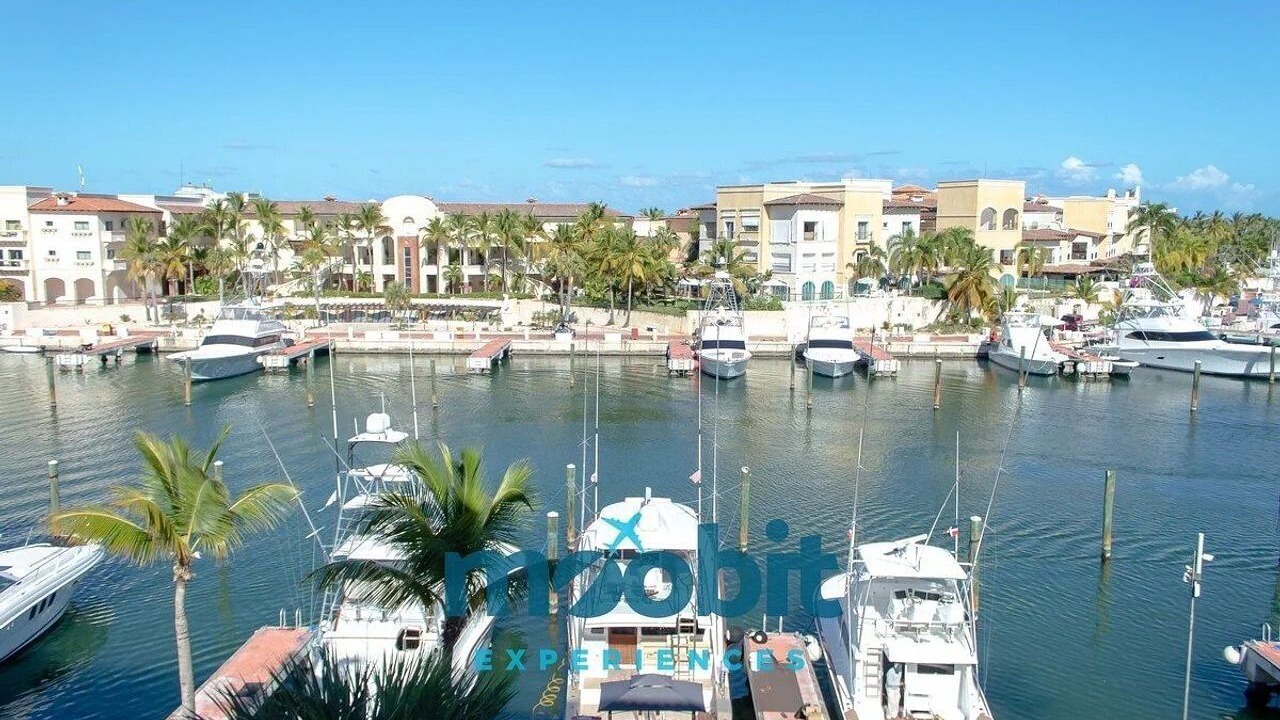 Photo of Others in Cap Cana Marina