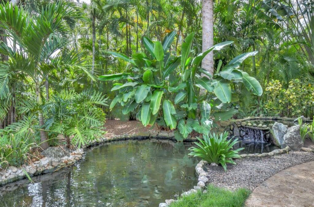Photo of Outdoor in Cabarete