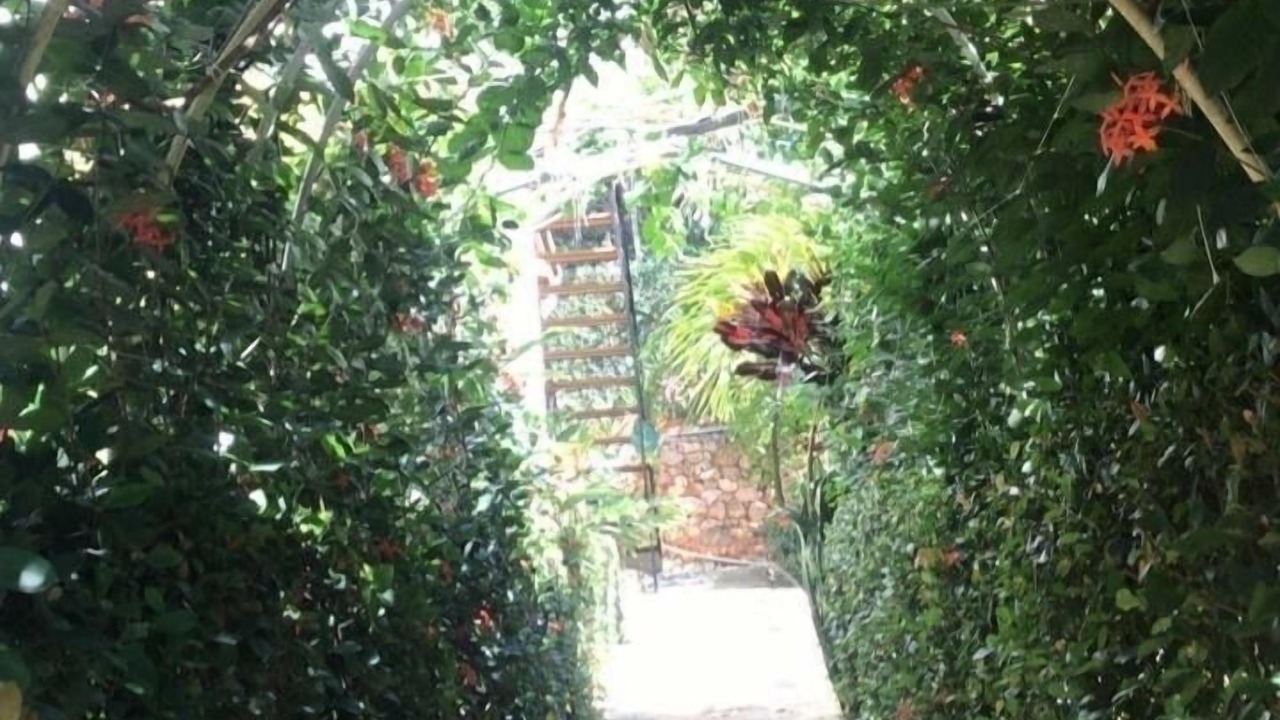 Photo of Outdoor in Las Terrenas