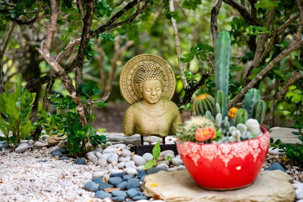 Photo of Outdoor in Cabarete