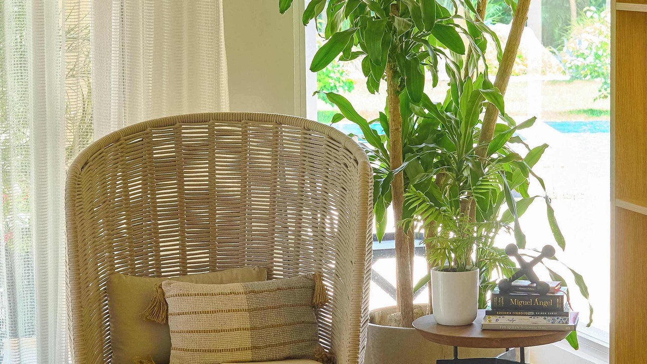Photo of Livingroom in Las Canas II