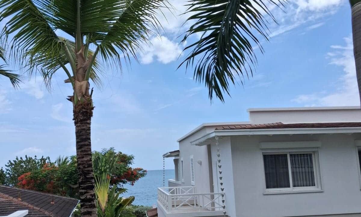 Photo of Others in Dominicus