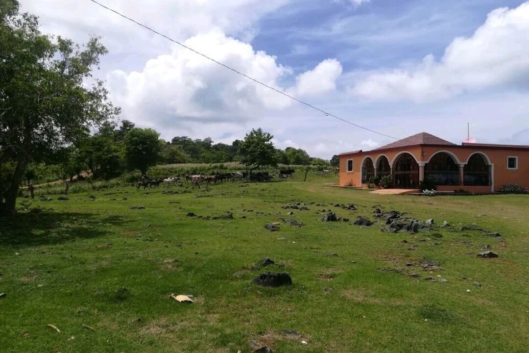 Photo of Outdoor in Las Galeras