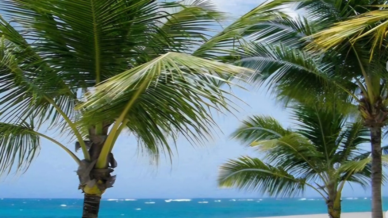 Photo of Others in Puerto Plata