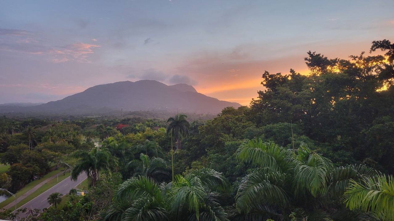Photo of Others in Puerto Plata