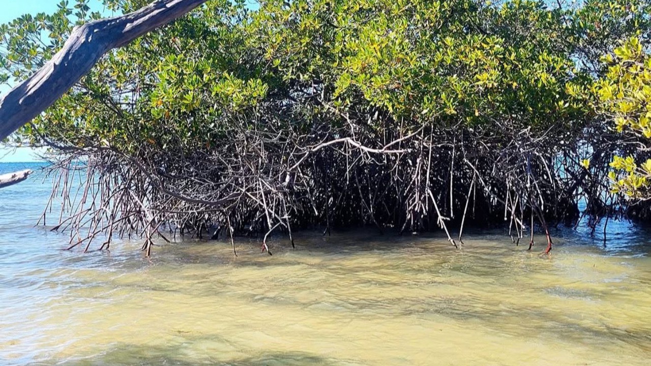 Photo of Others in Monte Plata