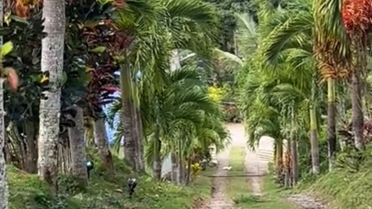 Photo of Others in Samana