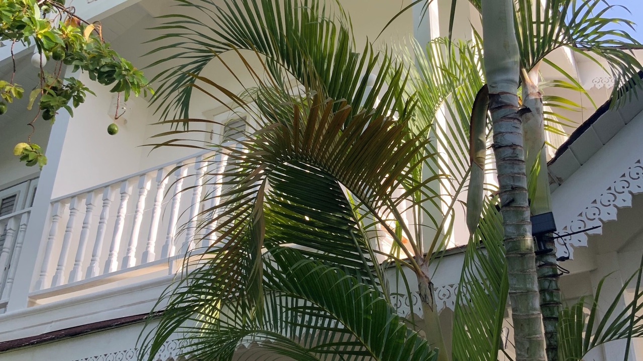 Photo of Outdoor in Las Terrenas