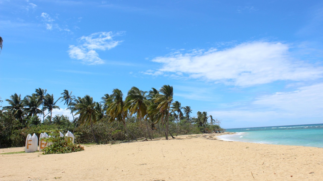 Photo of Others in Las Terrenas