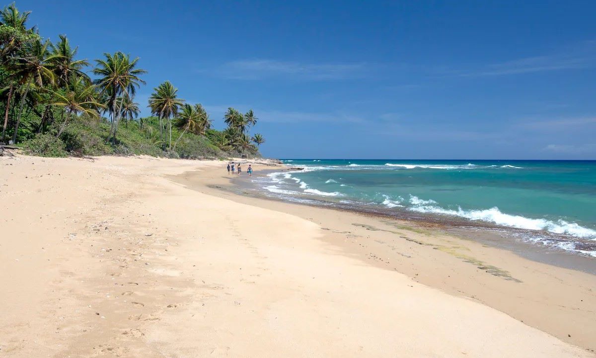 Photo of Others in Cabarete