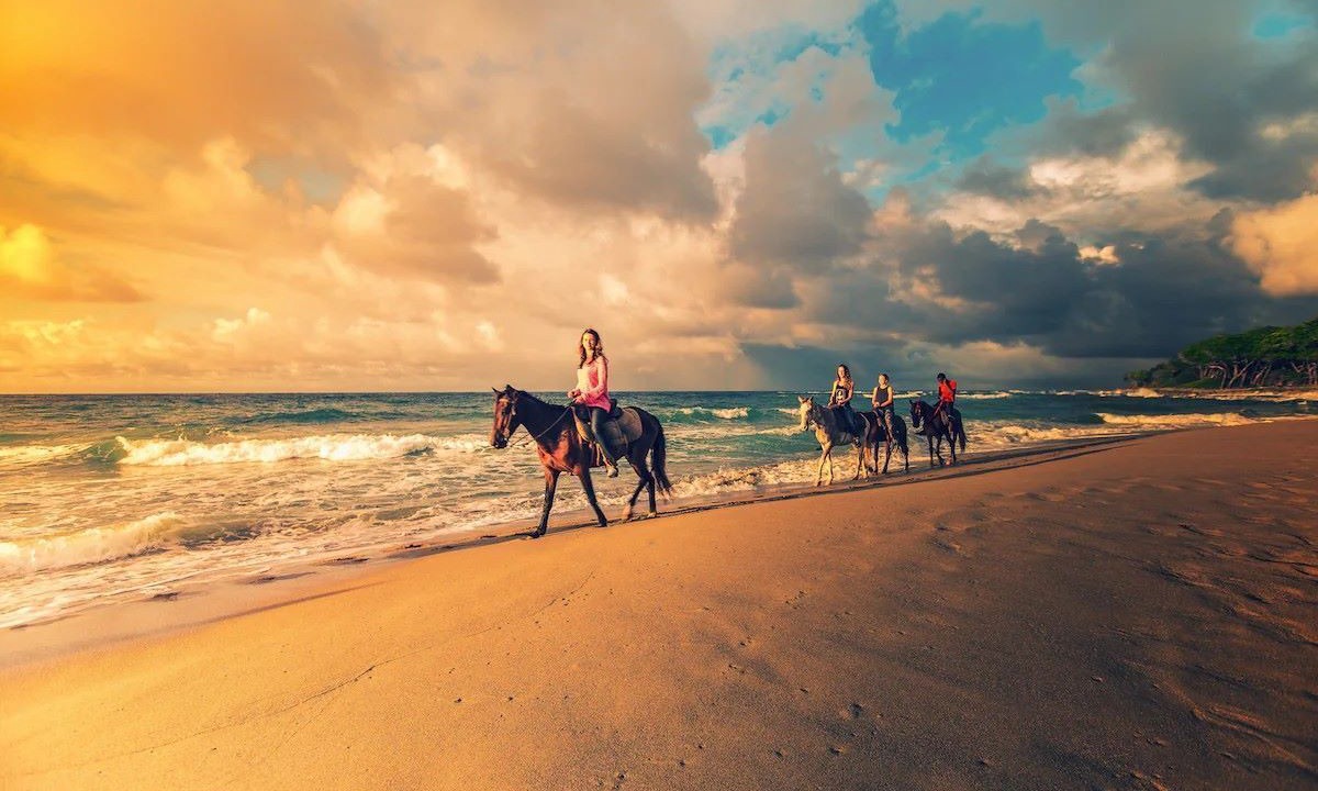 Photo of Others in Cabarete