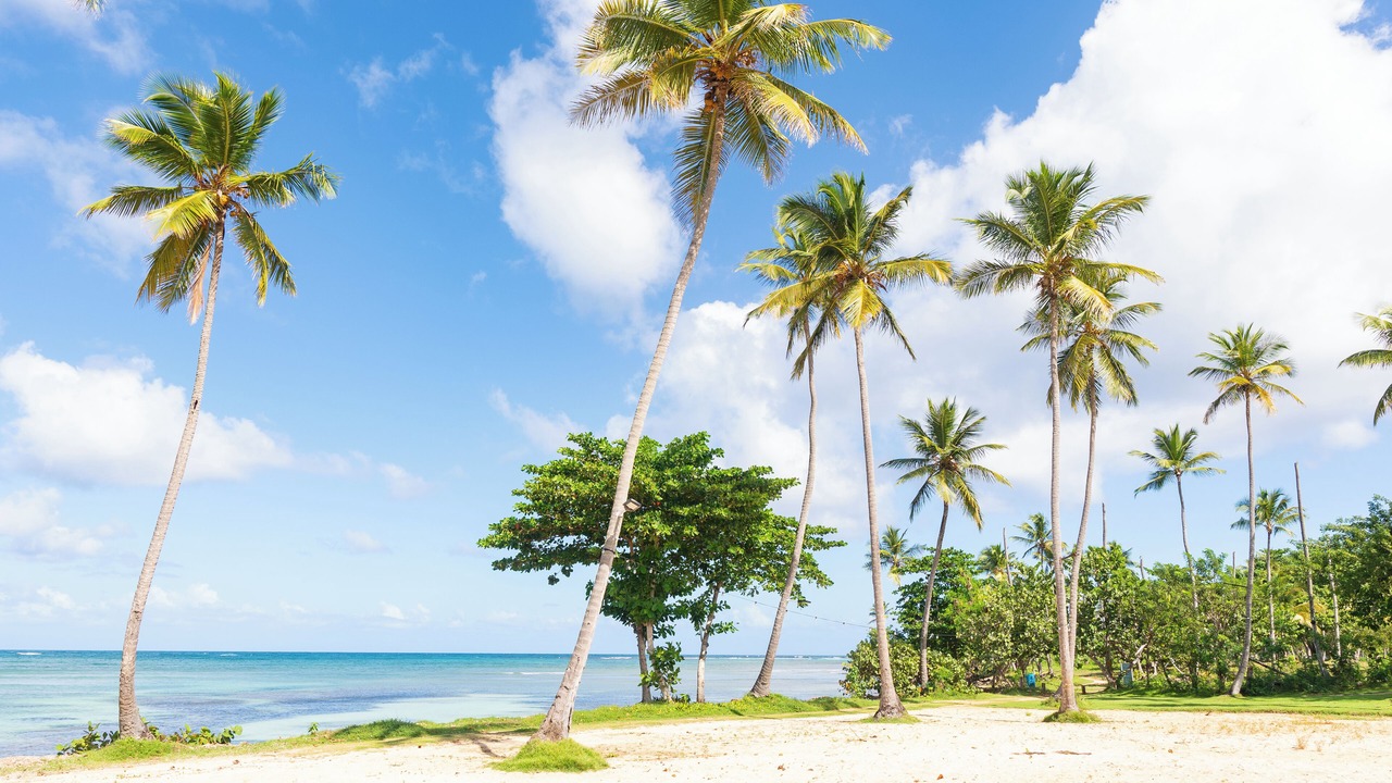Photo of Others in Las Galeras