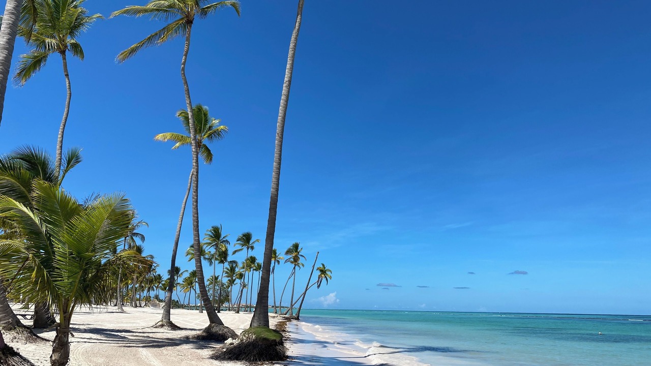 Photo of Others in Punta Cana