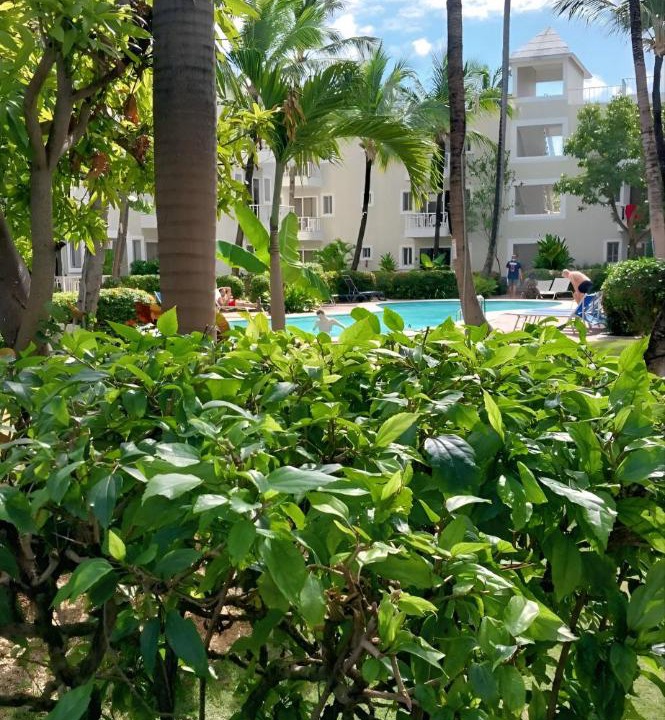 Photo of Others in Bavaro