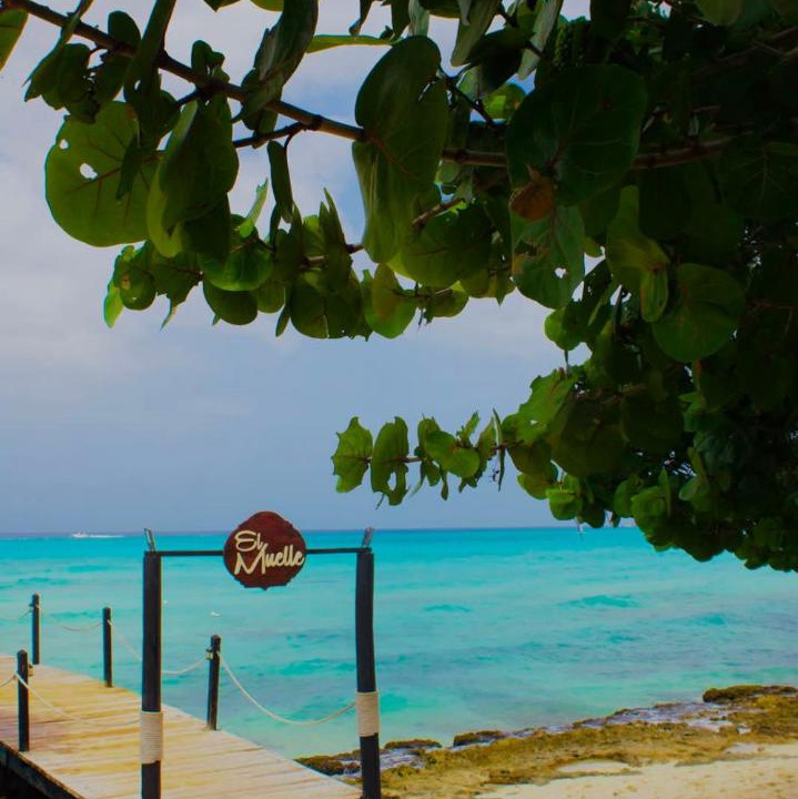 Photo of Others in Dominicus
