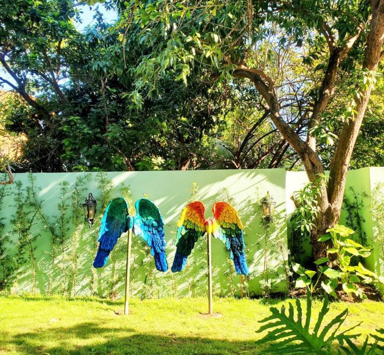 Photo of Outdoor in Nizao