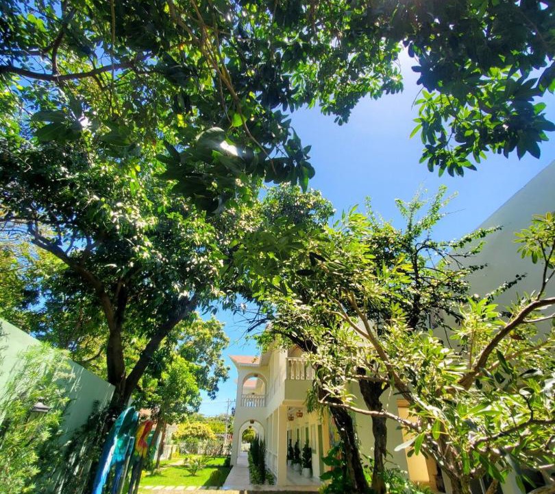 Photo of Outdoor in Nizao