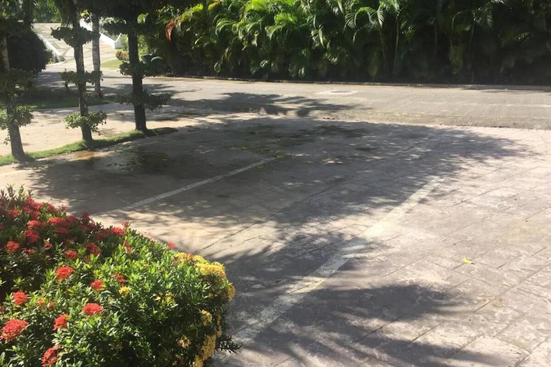 Photo of Others in Las Terrenas