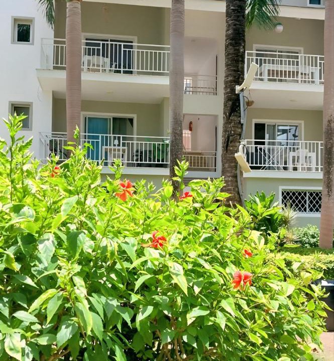 Photo of Others in Bavaro