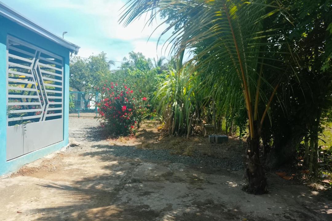 Photo of Others in Bonao