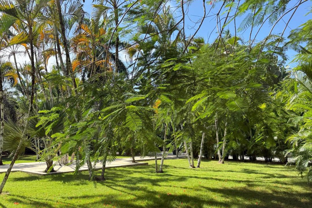 Photo of Others in Las Terrenas