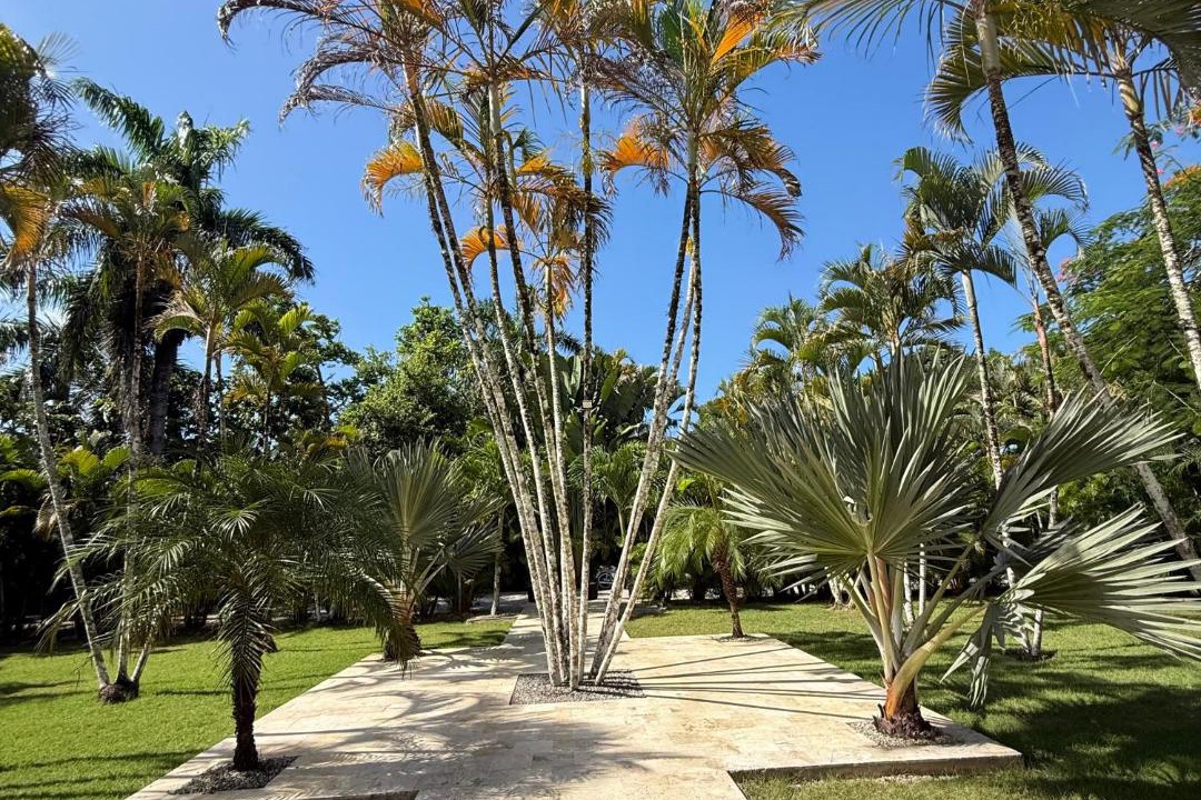 Photo of Others in Las Terrenas