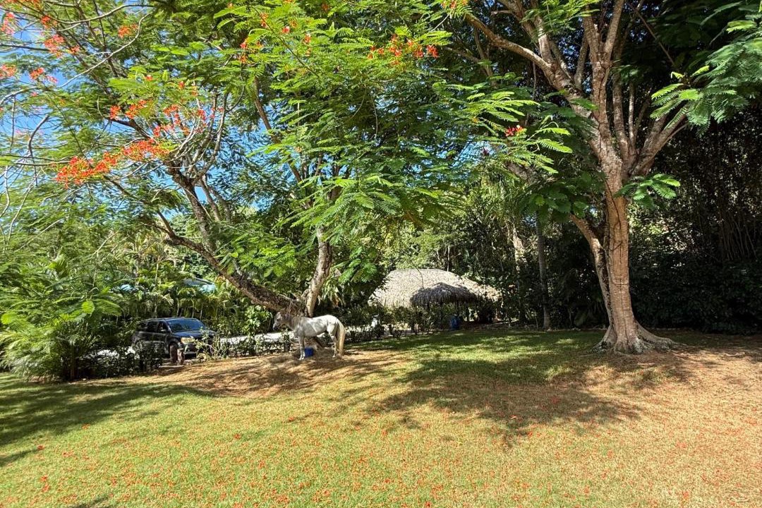 Photo of Others in Las Terrenas