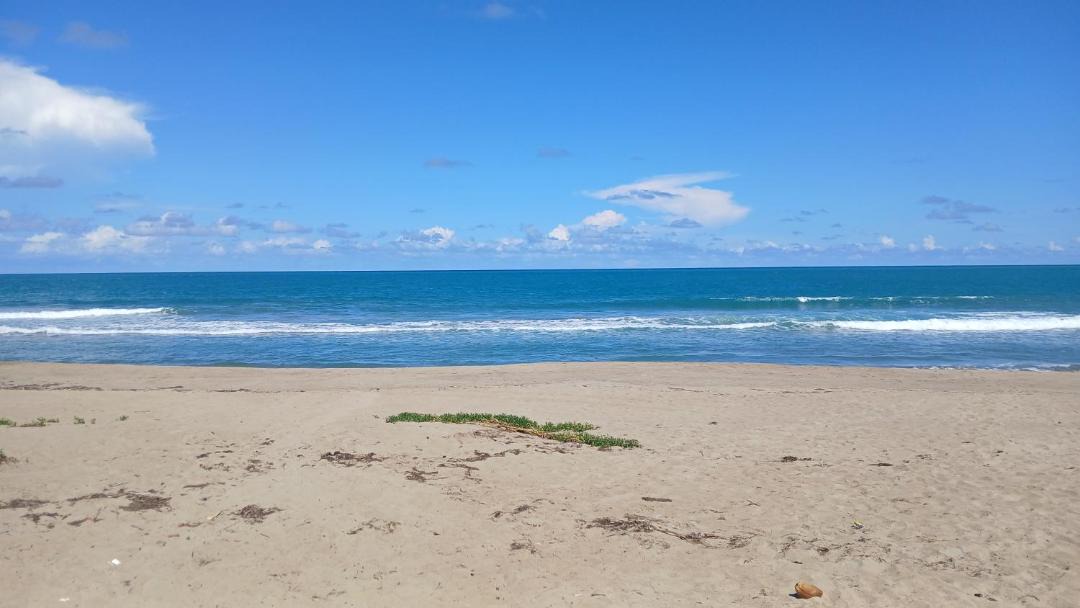 Photo of Others in Cabarete