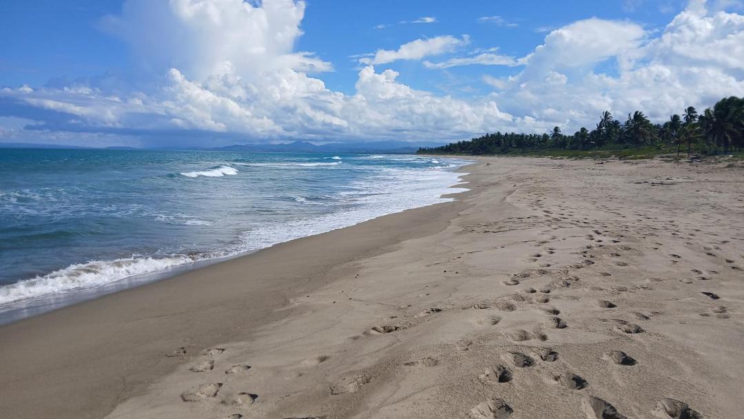 Photo of Others in Cabarete