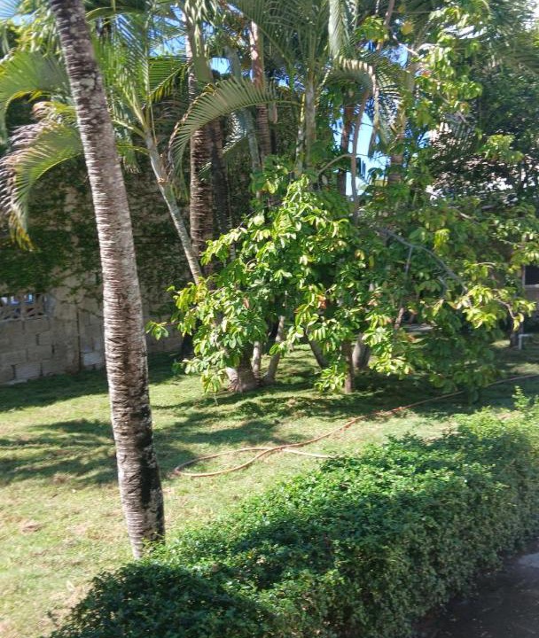 Photo of Others in Cabarete