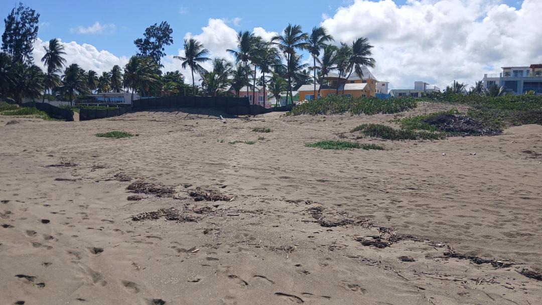 Photo of Others in Cabarete