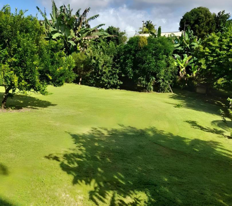 Photo of Others in Caribbean Islands