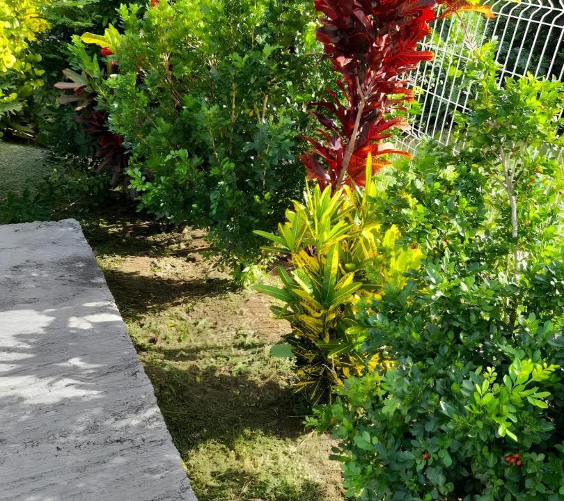 Photo of Others in Caribbean Islands