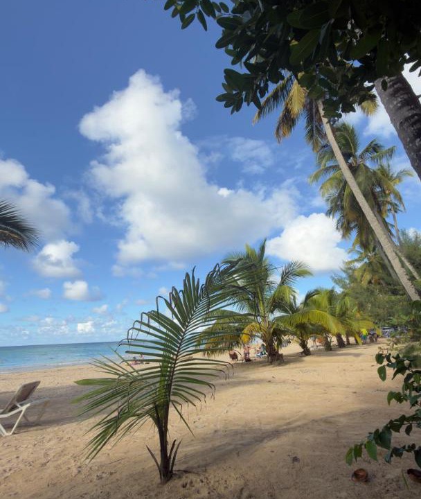 Photo of Others in Las Terrenas