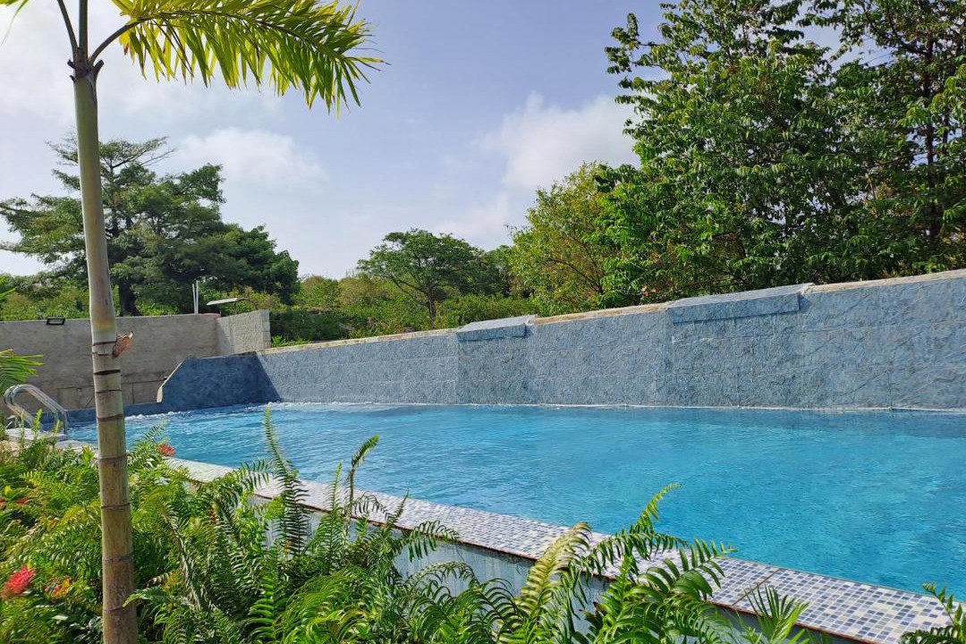 Photo of Others in Las Galeras