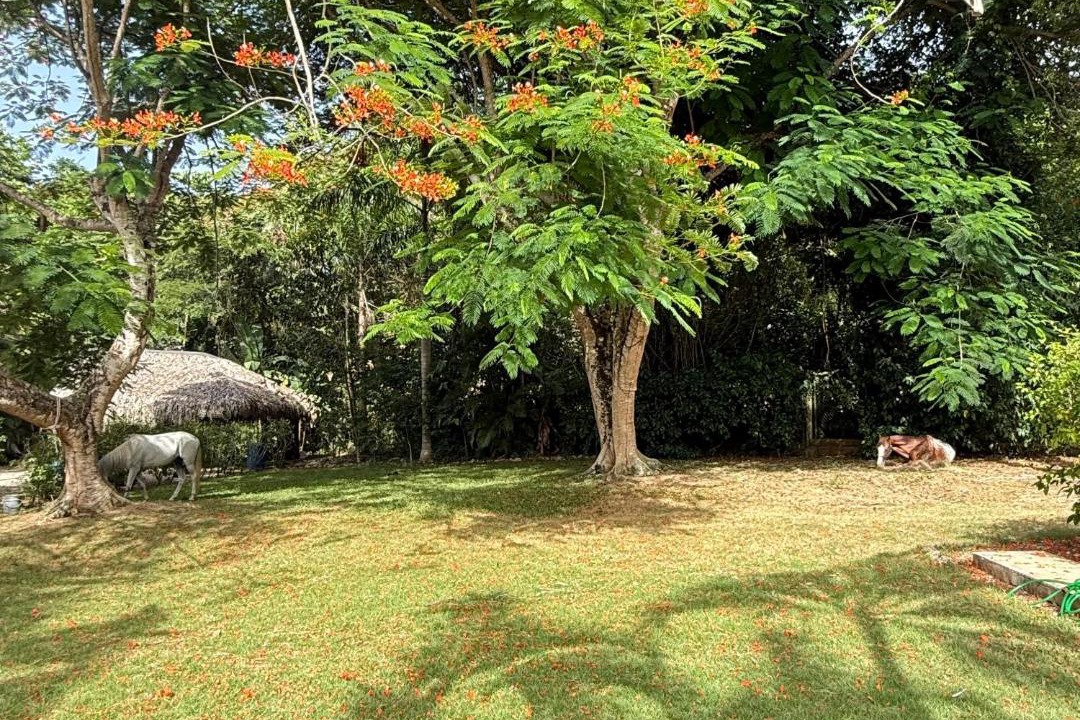 Photo of Others in Las Terrenas
