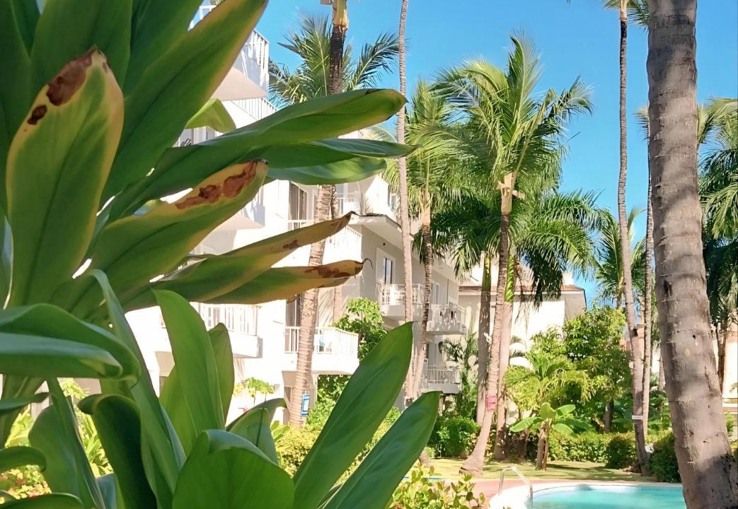 Photo of Others in Bavaro