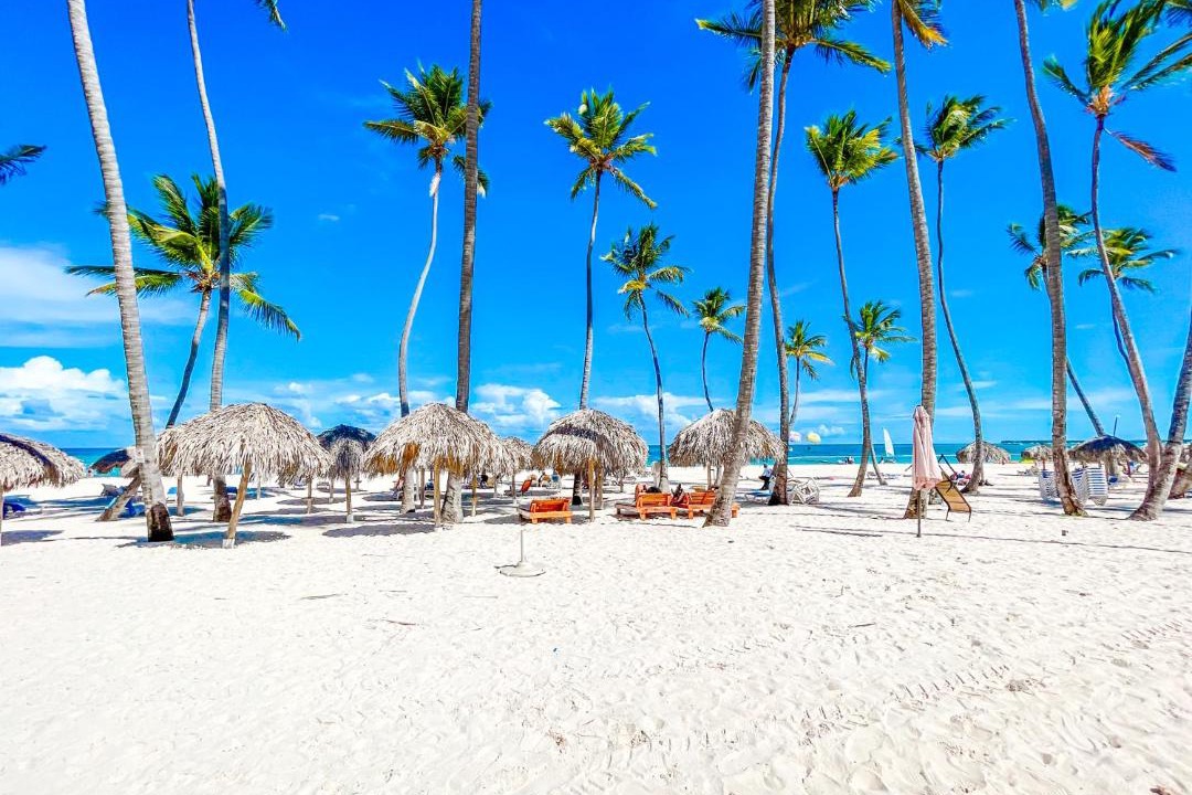 Photo of Others in Bavaro