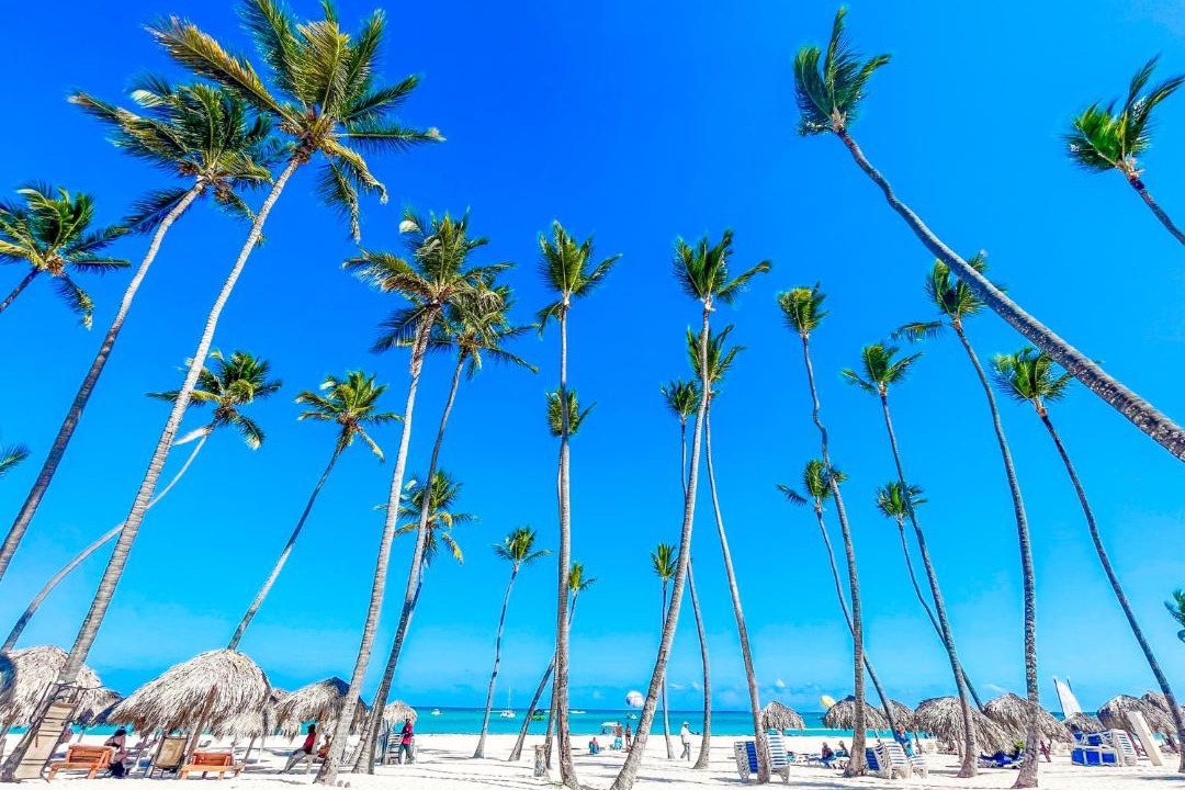 Photo of Others in Bavaro