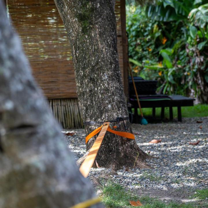 Photo of Others in Cabarete