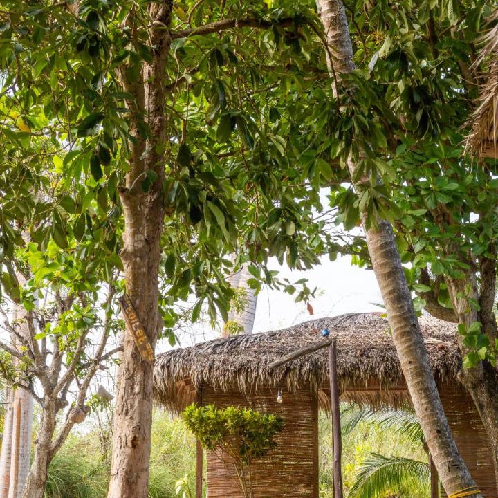 Photo of Others in Cabarete