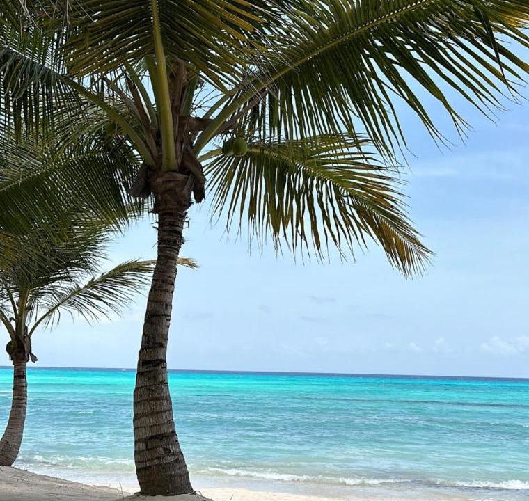 Photo of Others in Dominicus