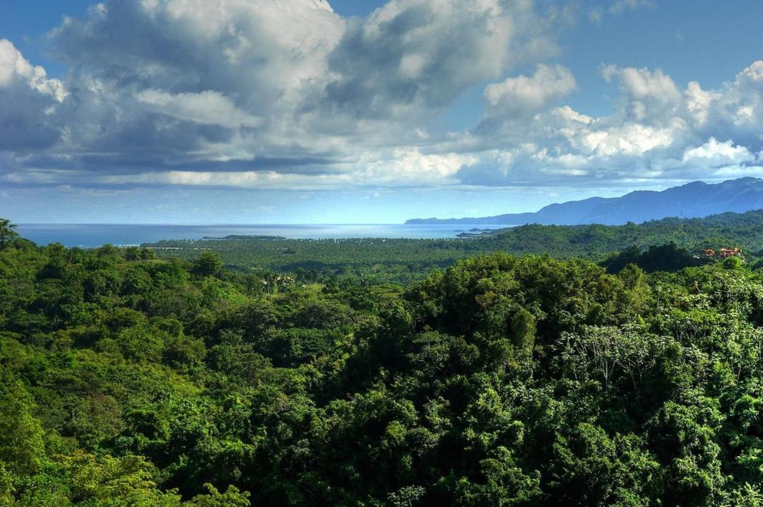 Photo of Others in Las Terrenas