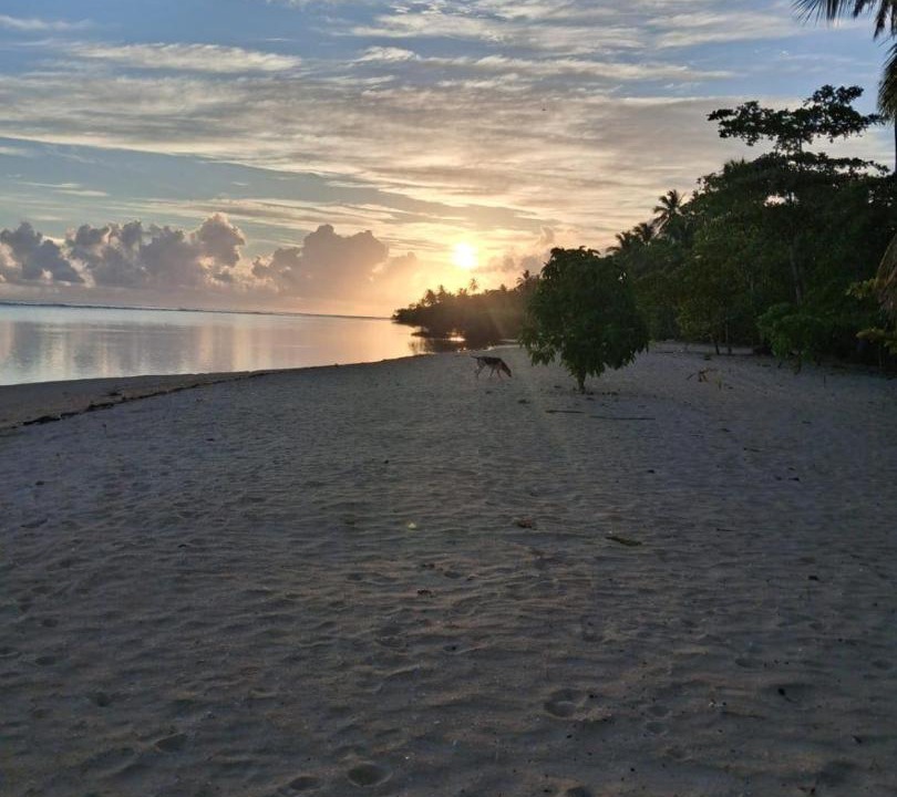 Photo of Others in Las Terrenas