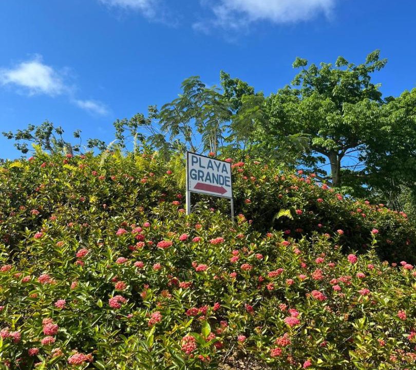 Photo of Outdoor in Rio San Juan