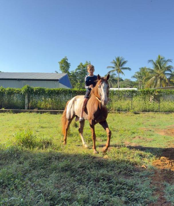 Photo of Others in Las Terrenas